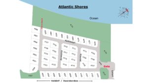 Shores - Thumb - Prtoject O - 25-04-2025 Opt